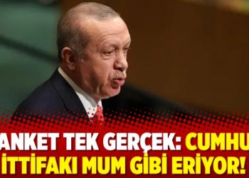 7 anket tek gerçek: Cumhur İttifakı mum gibi eriyor!