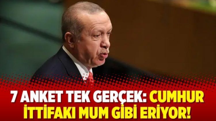 7 anket tek gerçek: Cumhur İttifakı mum gibi eriyor!