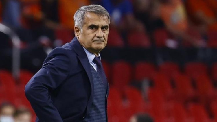 Şenol Güneş: Nasıl istiyorsanız öyle yapın