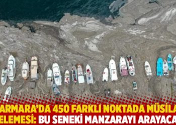 Marmara’da 450 farklı noktada müsilaj incelemesi: Bu seneki manzarayı arayacağız