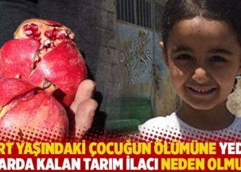 Dört yaşındaki çocuğun ölümüne yediği narda kalan tarım ilacı neden olmuş