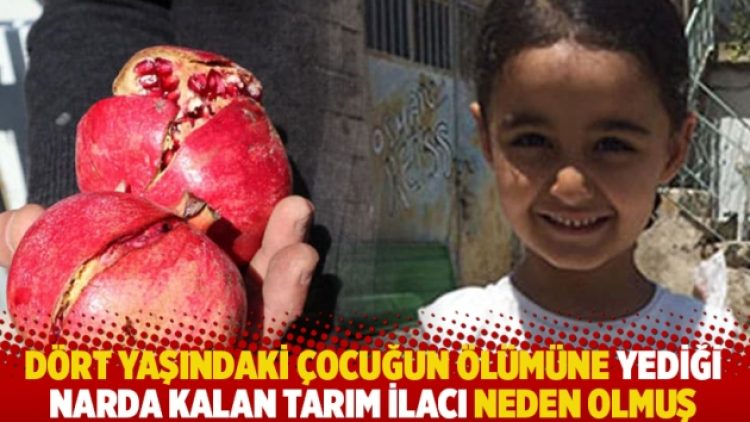 Dört yaşındaki çocuğun ölümüne yediği narda kalan tarım ilacı neden olmuş
