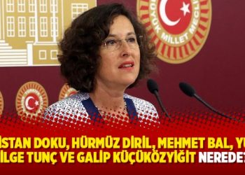 ‘Gülistan Doku, Hürmüz Diril, Mehmet Bal, Yusuf Bilge Tunç ve Galip Küçüközyiğit nerede?’