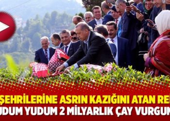 Hemşehrilerine asrın kazığını atan Reis’in yudum yudum 2 milyarlık çay vurgunu