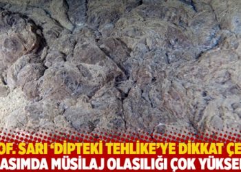 Prof. Sarı ‘dipteki tehlike’ye dikkat çekti: Kasımda müsilaj olasılığı çok yüksek