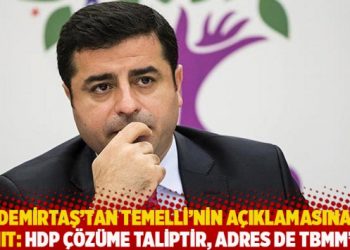 Demirtaş’tan Temelli’nin açıklamasına yanıt: HDP çözüme taliptir, adres de TBMM’dir