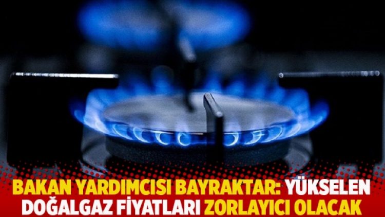 Bakan yardımcısı Bayraktar: Yükselen doğalgaz fiyatları zorlayıcı olacak