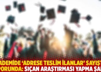 Üniversitelerde ‘Adrese teslim ilanlar’ Sayıştay raporunda: Sıçan araştırması yapma şartı!