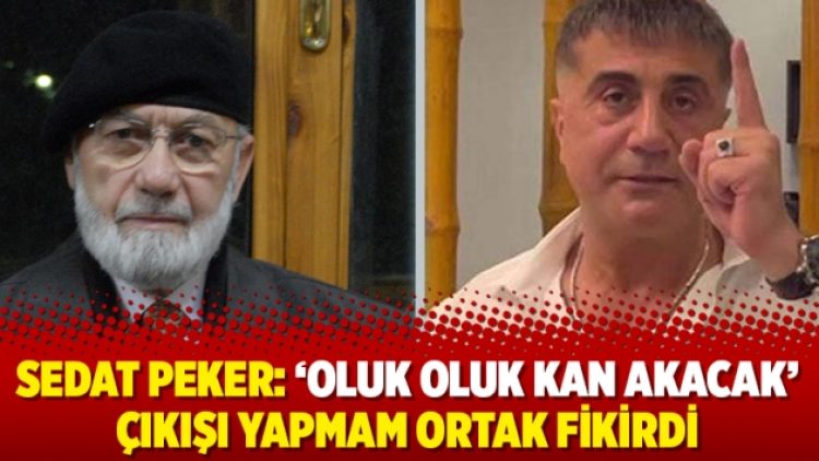 Sedat Peker: ‘Oluk oluk kan akacak’ çıkışı yapmam ortak fikirdi
