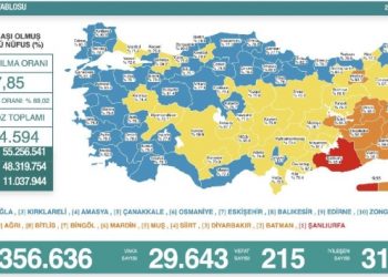 Son 24 saat: 29 bin 643 yeni vaka, 215 can kaybı