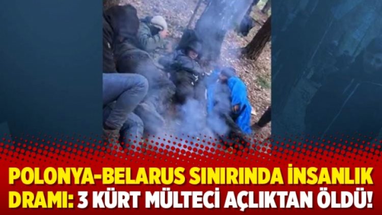 Polonya-Belarus sınırında insanlık dramı: 3 Kürt mülteci açlıktan öldü!