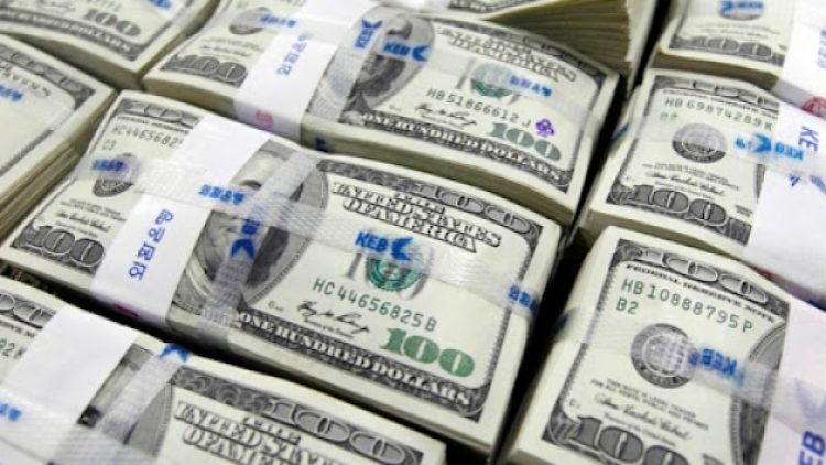 Döviz mevduatının dörtte biri Merkez Bankası’nın kasasına girecek