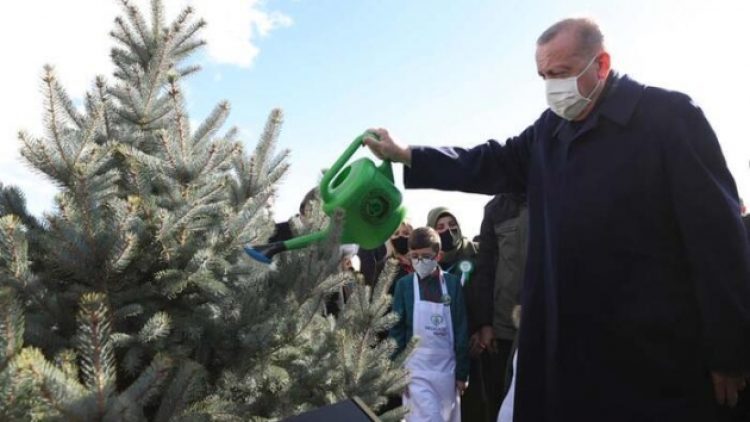 ‘Çevreci’ Erdoğan: Nükleer enerjiye karşı çıkmak ihanet değilse gaflettir