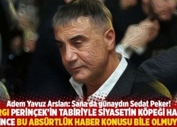 “Yargı Perinçek’in tabiriyle siyasetin köpeği haline gelince bu absürtlük haber konusu bile olmuyor”