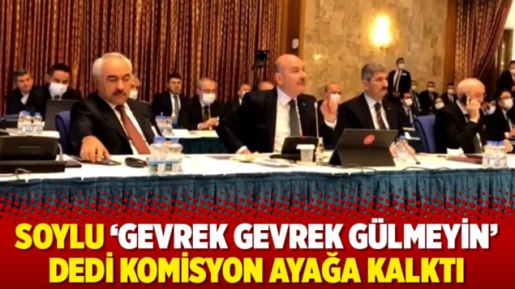 Soylu ‘gevrek gevrek gülmeyin’ dedi komisyon ayağa kalktı
