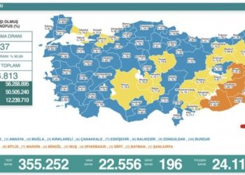 Son 24 saat: 22 bin 556 yeni vaka, 196 can kaybı