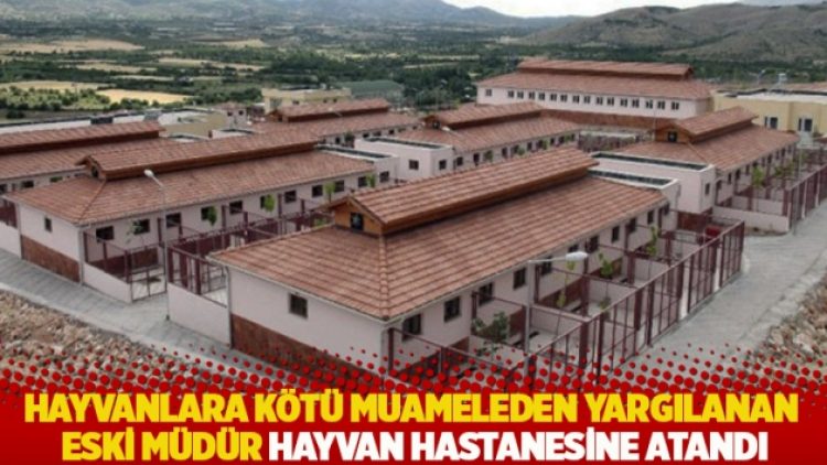 Hayvanlara kötü muameleden yargılanan eski müdür hayvan hastanesine atandı