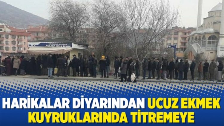 Harikalar diyarından ucuz ekmek kuyruklarında titremeye