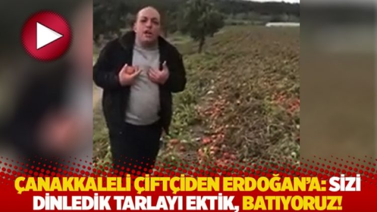 Çanakkaleli çiftçiden Erdoğan’a: Sizi dinledik tarlayı ektik, batıyoruz!