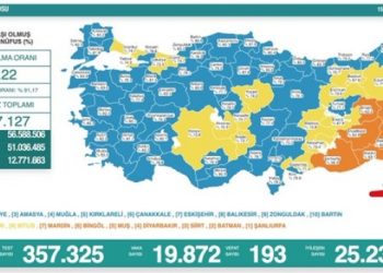 Son 24 saat: 19 bin 872 yeni vaka, 193 can kaybı