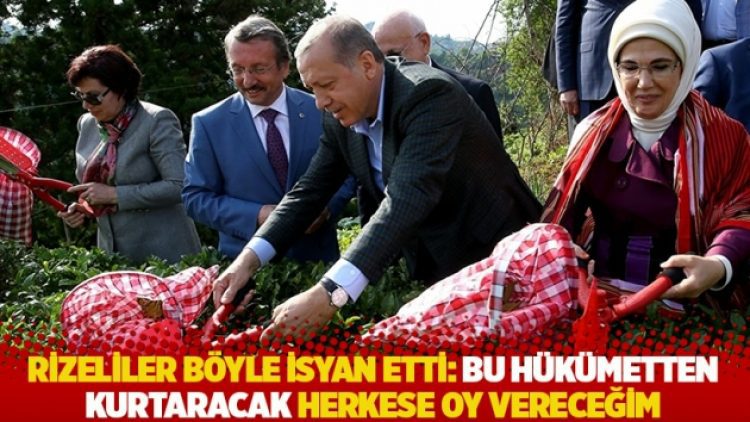 Rizeliler böyle isyan etti: Bu hükümetten kurtaracak herkese oy vereceğim
