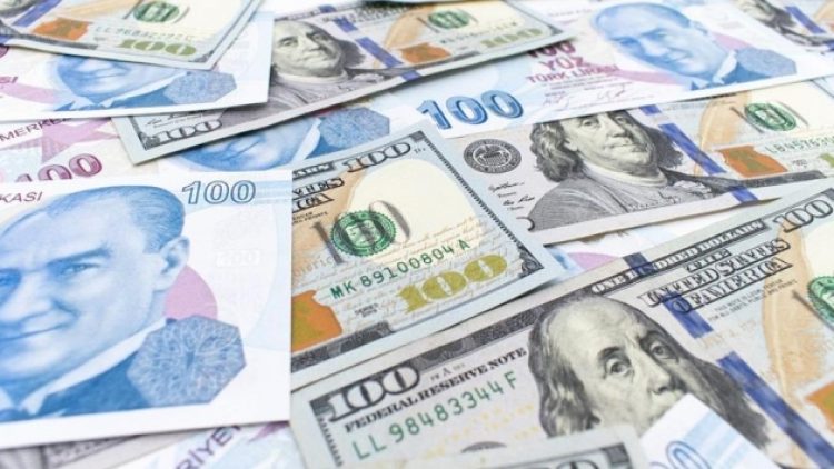 Merkez Bankası’ndan ‘firmalara döviz satımı’ açıklaması