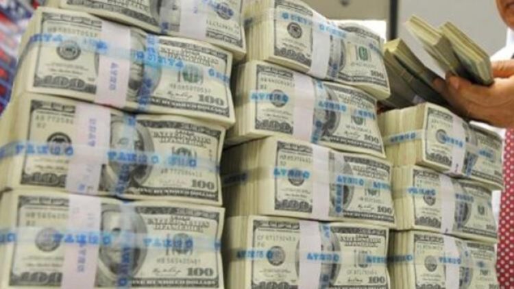 Merkez Bankası dövize ilk müdahalenin büyüklüğünü açıkladı