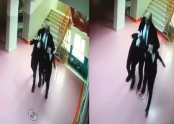 İki ilkokul öğrencisine şiddet uygulayan müdüre idari soruşturma