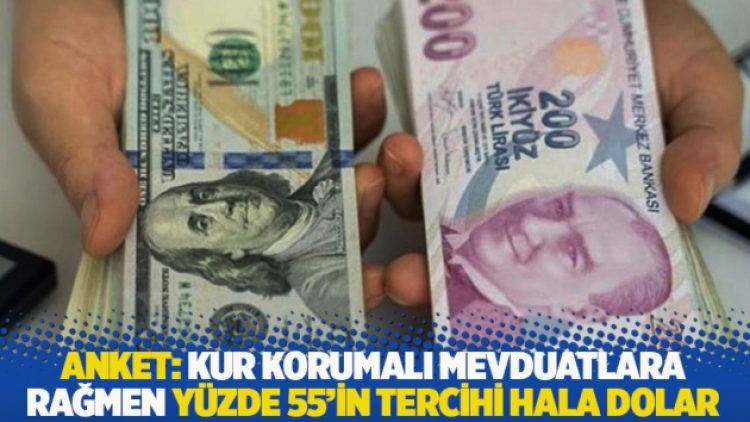 Anket: Kur korumalı mevduatlara rağmen yüzde 55’in tercihi hala dolar