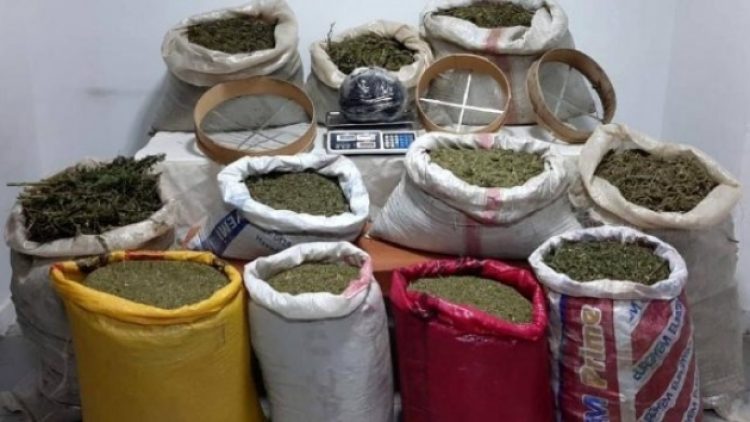 Evinde 253 kilo esrarla yakalanan kişi istihbarat elemanı çıktı