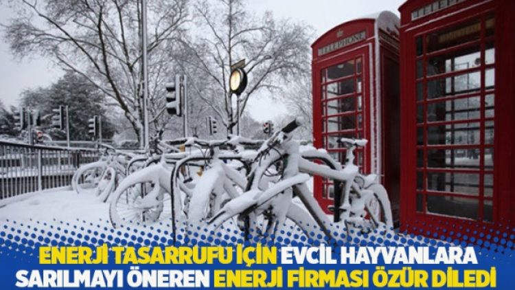 İngiltere’de enerji tasarrufu için evcil hayvanlara sarılmayı öneren enerji firması özür diledi