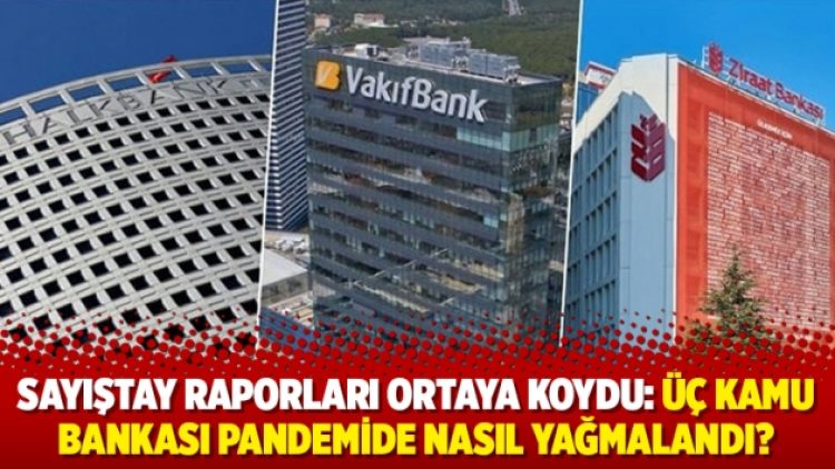 Sayıştay raporları ortaya koydu: Üç kamu bankası pandemide nasıl yağmalandı?
