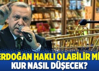 Erdoğan haklı olabilir mi; kur nasıl düşecek?