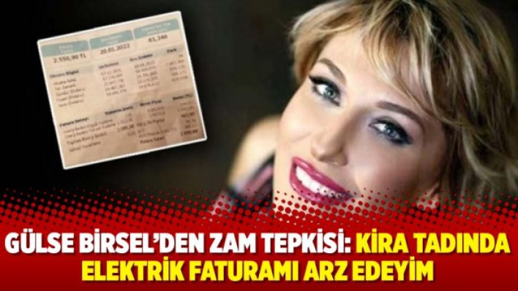 Gülse Birsel’den zam tepkisi: Kira tadında elektrik faturamı arz edeyim