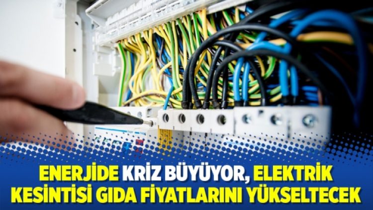 Enerjide kriz büyüyor, elektrik kesintisi gıda fiyatlarını yükseltecek