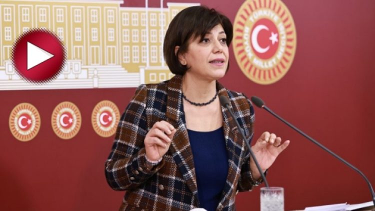 HDP’li Beştaş sokak müzisyenlerine destek için mecliste Kürtçe şarkı söyledi