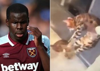 Kurt Zouma kediye işkence etti! Açıklama yaptı…