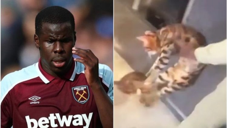 Kurt Zouma kediye işkence etti! Açıklama yaptı…