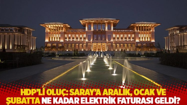 HDP’li Oluç: Saray’a aralık, ocak ve şubatta ne kadar elektrik faturası geldi?