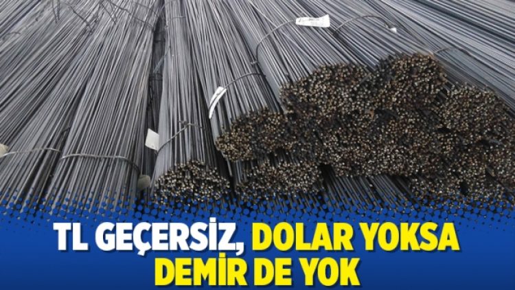 TL geçersiz, dolar yoksa demir de yok