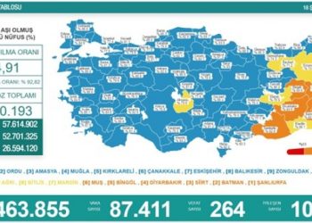 Son 24 saat: 87 bin 411 yeni vaka, 264 can kaybı