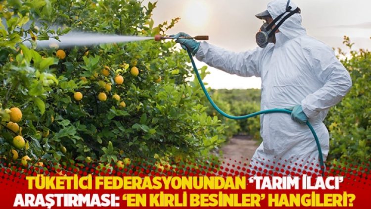 Tüketici federasyonundan ‘tarım ilacı’ araştırması: ‘En kirli besinler’ hangileri?