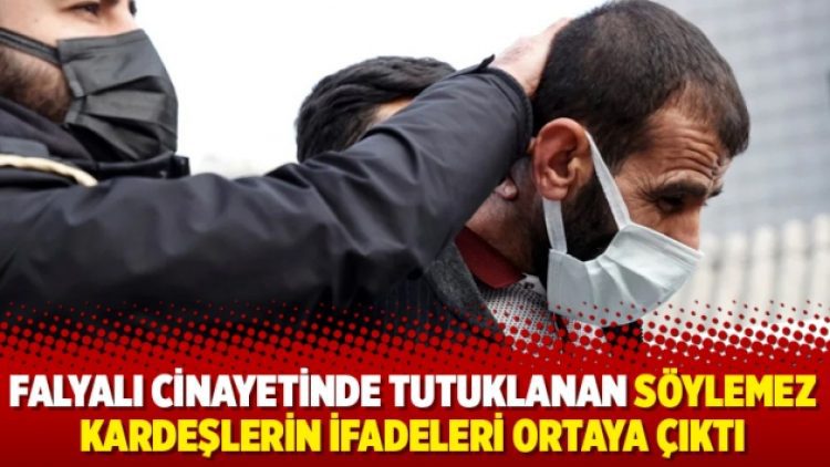 Falyalı cinayetinde tutuklanan Söylemez kardeşlerin ifadeleri ortaya çıktı