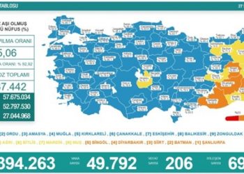 Son 24 saat: 49 bin 792 yeni vaka, 206 can kaybı