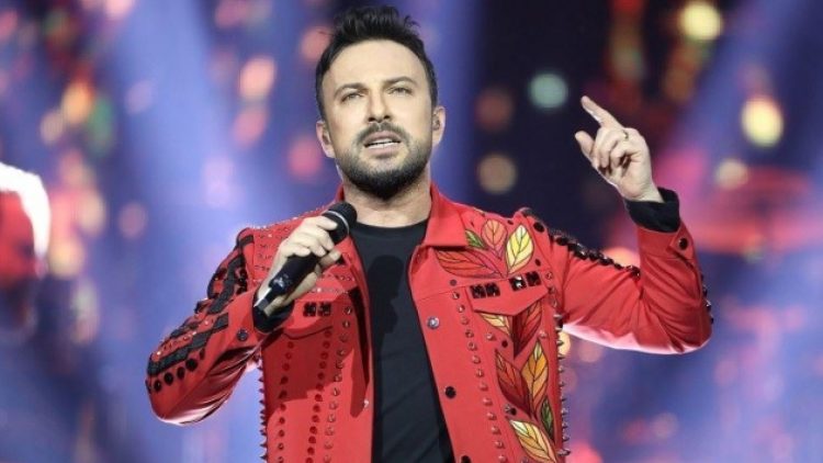 Tarkan’dan zeytinlik tepkisi: Bu vatanın doğası sizin malınız değil
