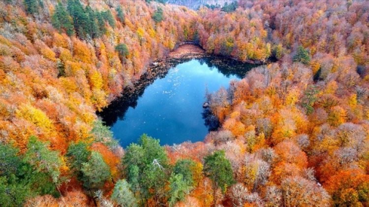 Koruma alanlarına yapılaşma izni