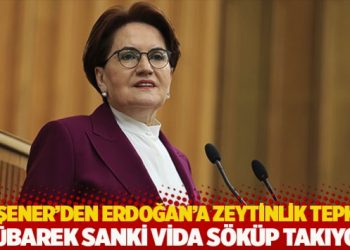 Akşener’den Erdoğan’a zeytinlik tepkisi: Mübarek sanki vida söküp takıyor
