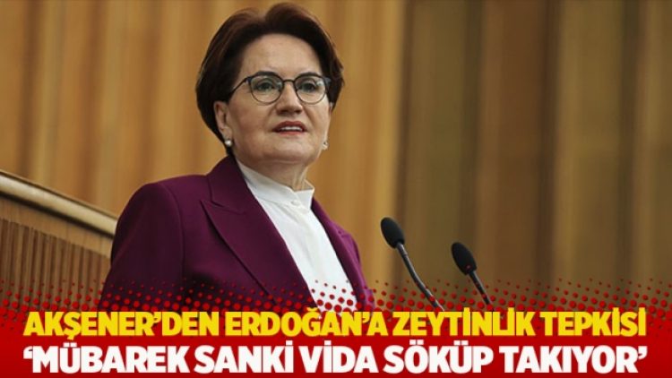 Akşener’den Erdoğan’a zeytinlik tepkisi: Mübarek sanki vida söküp takıyor