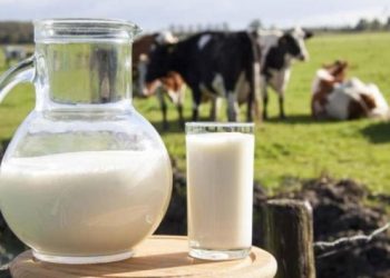 Çiğ süt fiyatı 5,70 lira olarak belirlendi