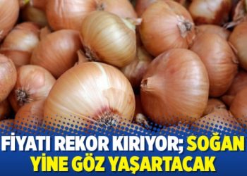 Fiyatı rekor kırıyor; Soğan yine göz yaşartacak
